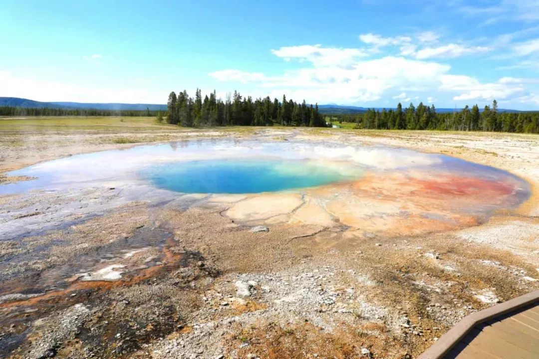 老人出国旅游 邮轮_老年人出境游轮旅行_出国邮轮老人旅游要求