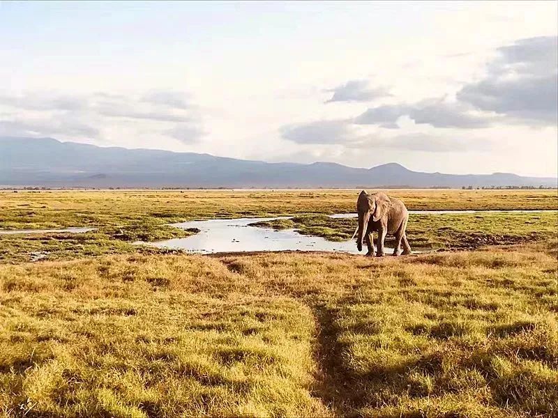 老年人出境游轮旅行_老人出国旅游 邮轮_出国邮轮老人旅游要求