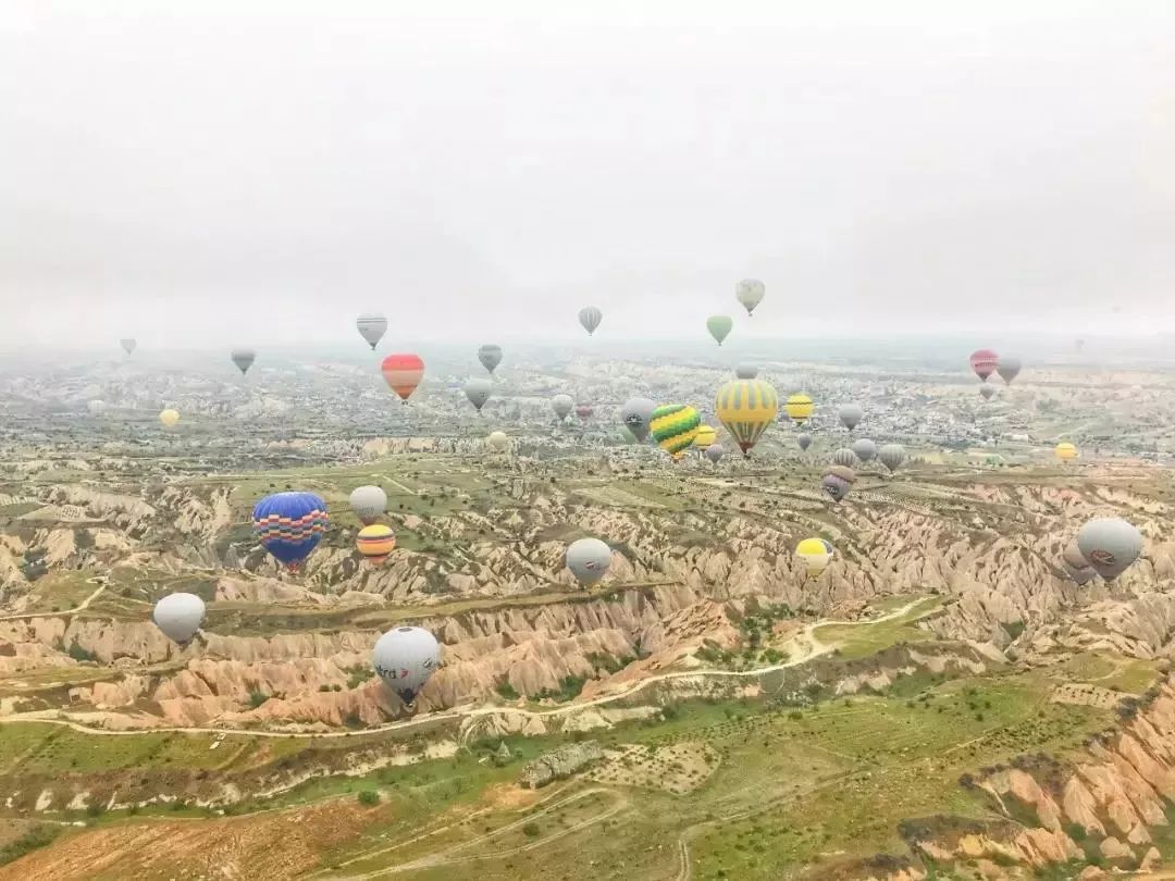 老年人出境游轮旅行_出国邮轮老人旅游要求_老人出国旅游 邮轮