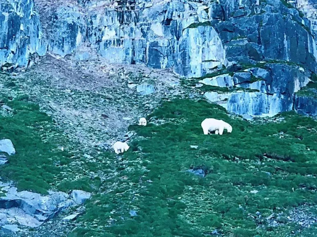 老年人出境游轮旅行_出国邮轮老人旅游要求_老人出国旅游 邮轮