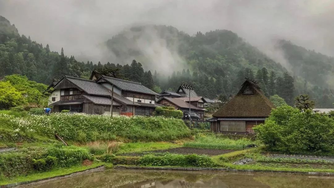 老人出国旅游 邮轮_出国邮轮老人旅游要求_老年人出境游轮旅行