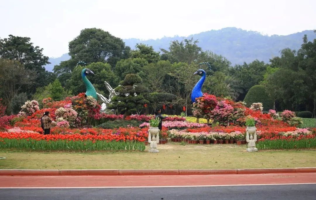 漳州旅游景点_好玩景点漳州有哪些_漳州好玩的景点