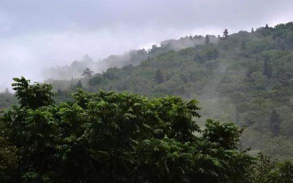 哈尔滨帽儿山旅游攻略_哈尔滨帽儿山风景区图片_哈尔滨帽儿山一日游跟团游