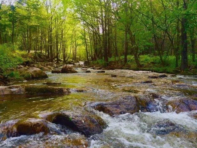 哈尔滨帽儿山旅游攻略_哈尔滨帽儿山风景区图片_哈尔滨帽儿山一日游跟团游