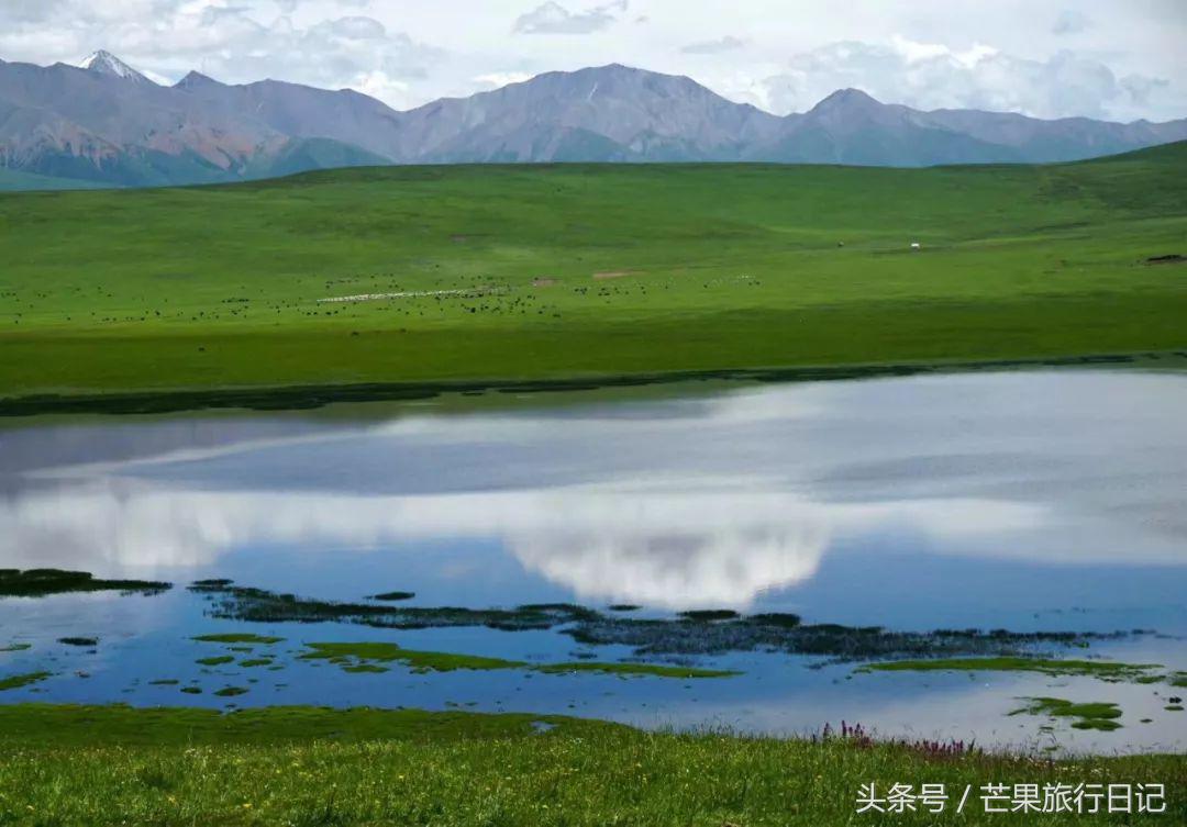 青海境内旅游景点_国内旅游景点 青海_青海旅游景点排名前十