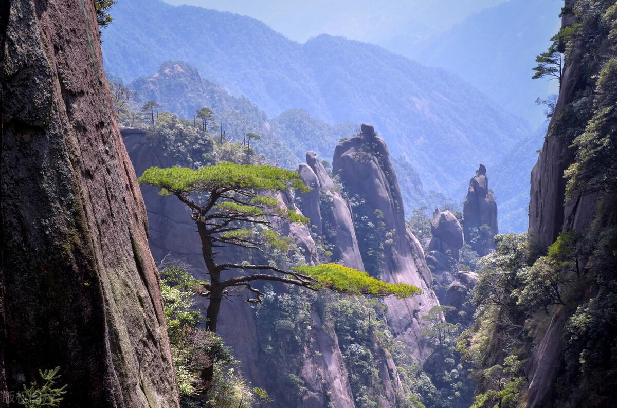 黄山婺源旅游攻略_三清山婺源旅游攻略_秋季婺源旅游攻略