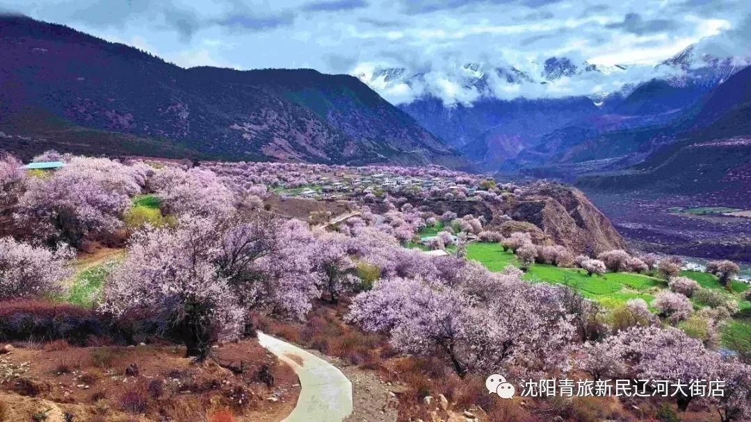 八月旅游最佳去处国外_十月旅游最佳去处国外_8月旅游最佳去处国外