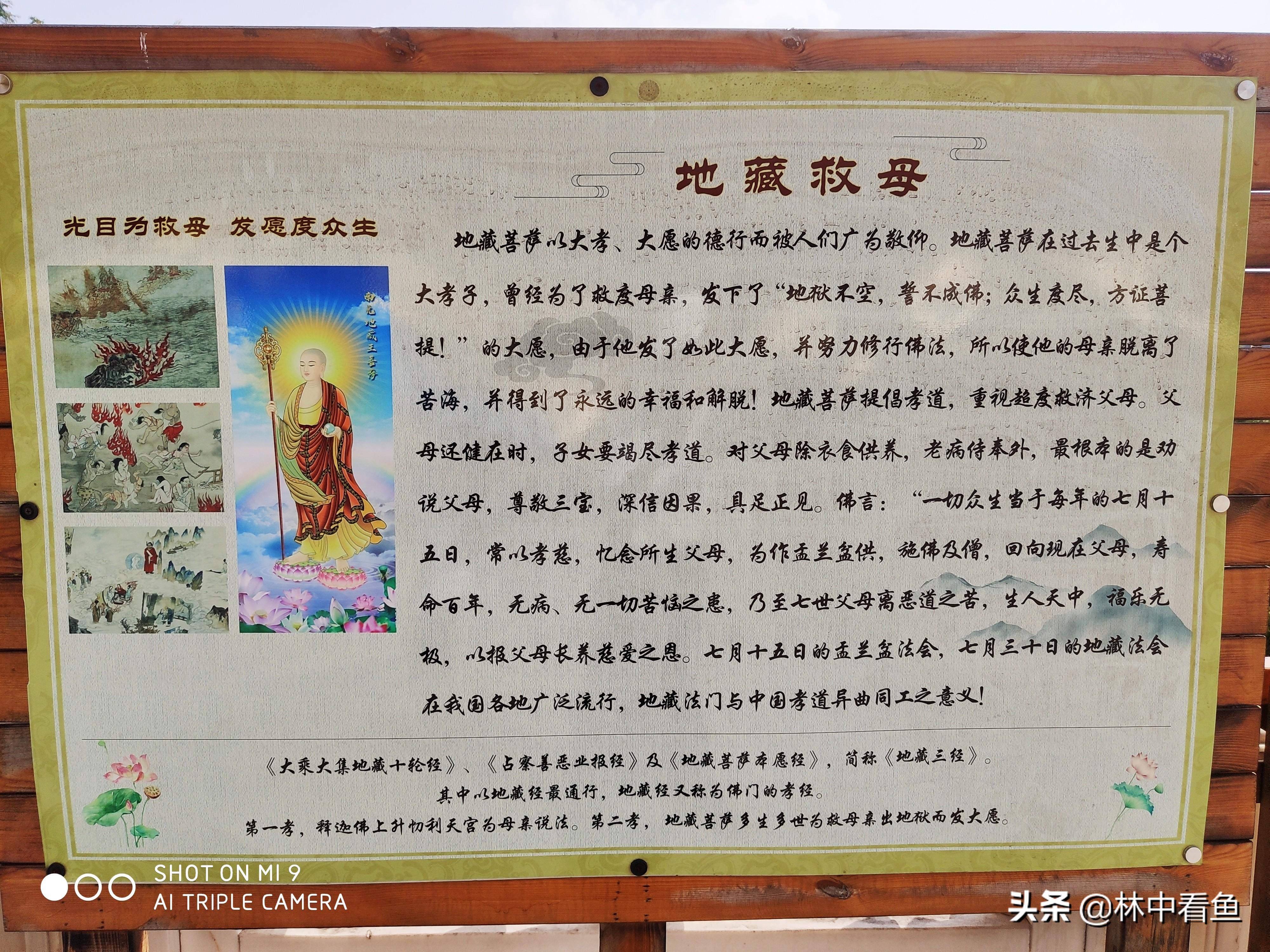 去九皇山旅游攻略_九华山景区内自驾攻略_九华山自驾去后山旅游攻略