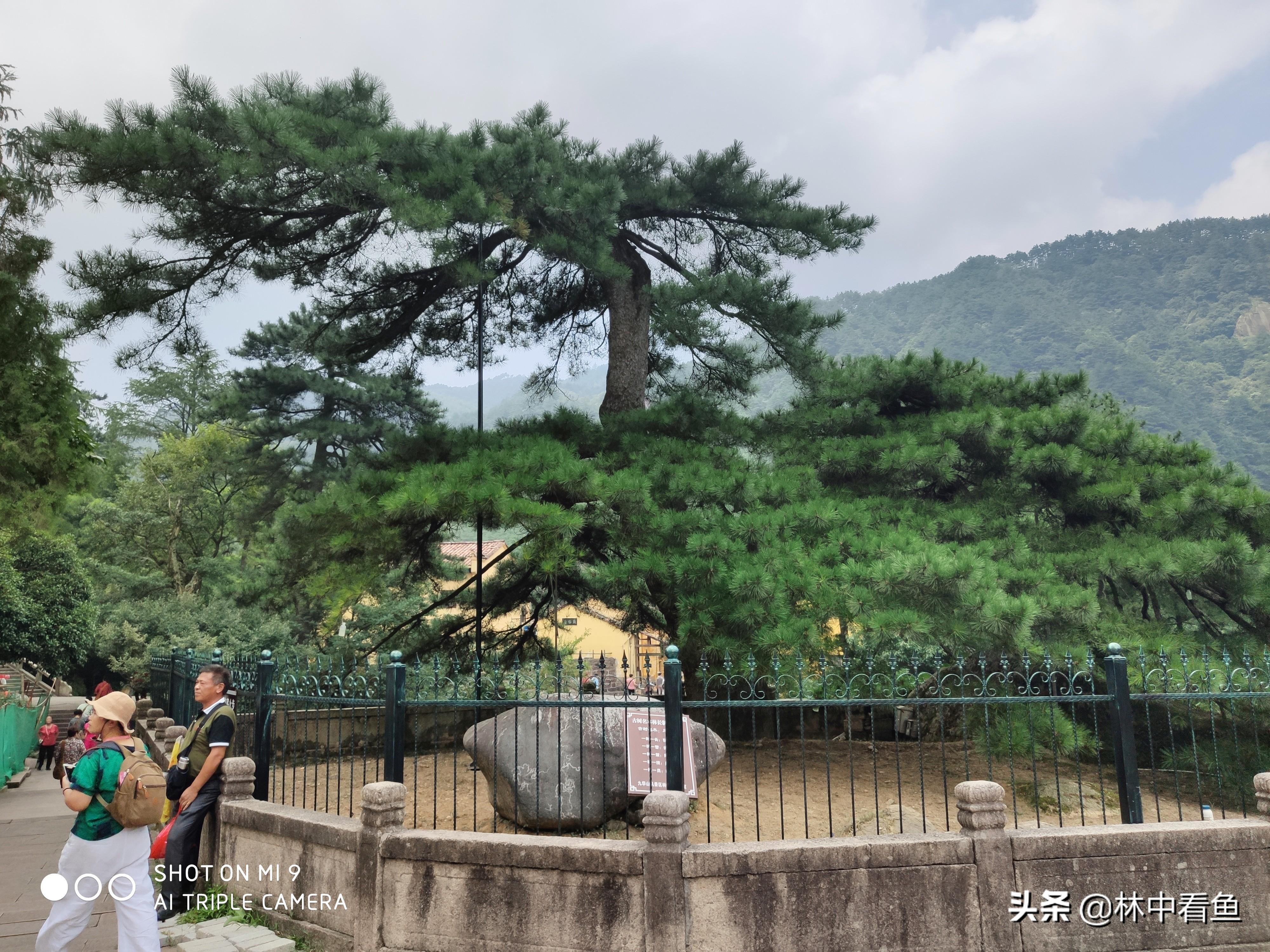 九华山自驾去后山旅游攻略_九华山景区内自驾攻略_去九皇山旅游攻略