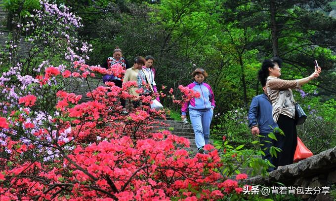 九华山自驾去后山旅游攻略_去云台山旅游自驾攻略_自驾西岭雪山后山攻略