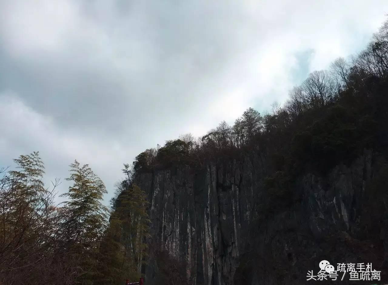 凤县紫柏山旅游攻略_天目山农家乐旅游攻略_神雕山野生动物园旅游攻略