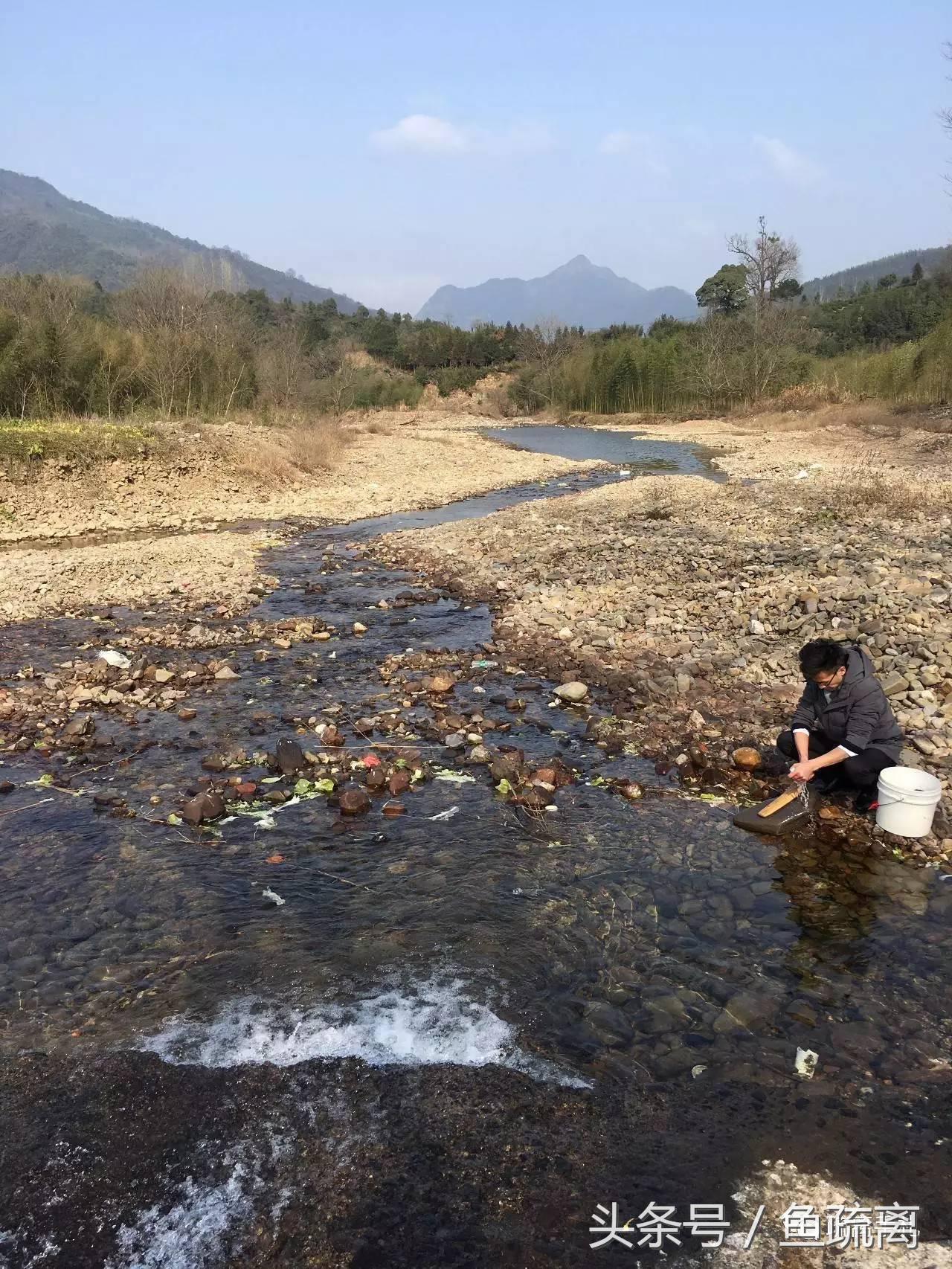 凤县紫柏山旅游攻略_天目山农家乐旅游攻略_神雕山野生动物园旅游攻略