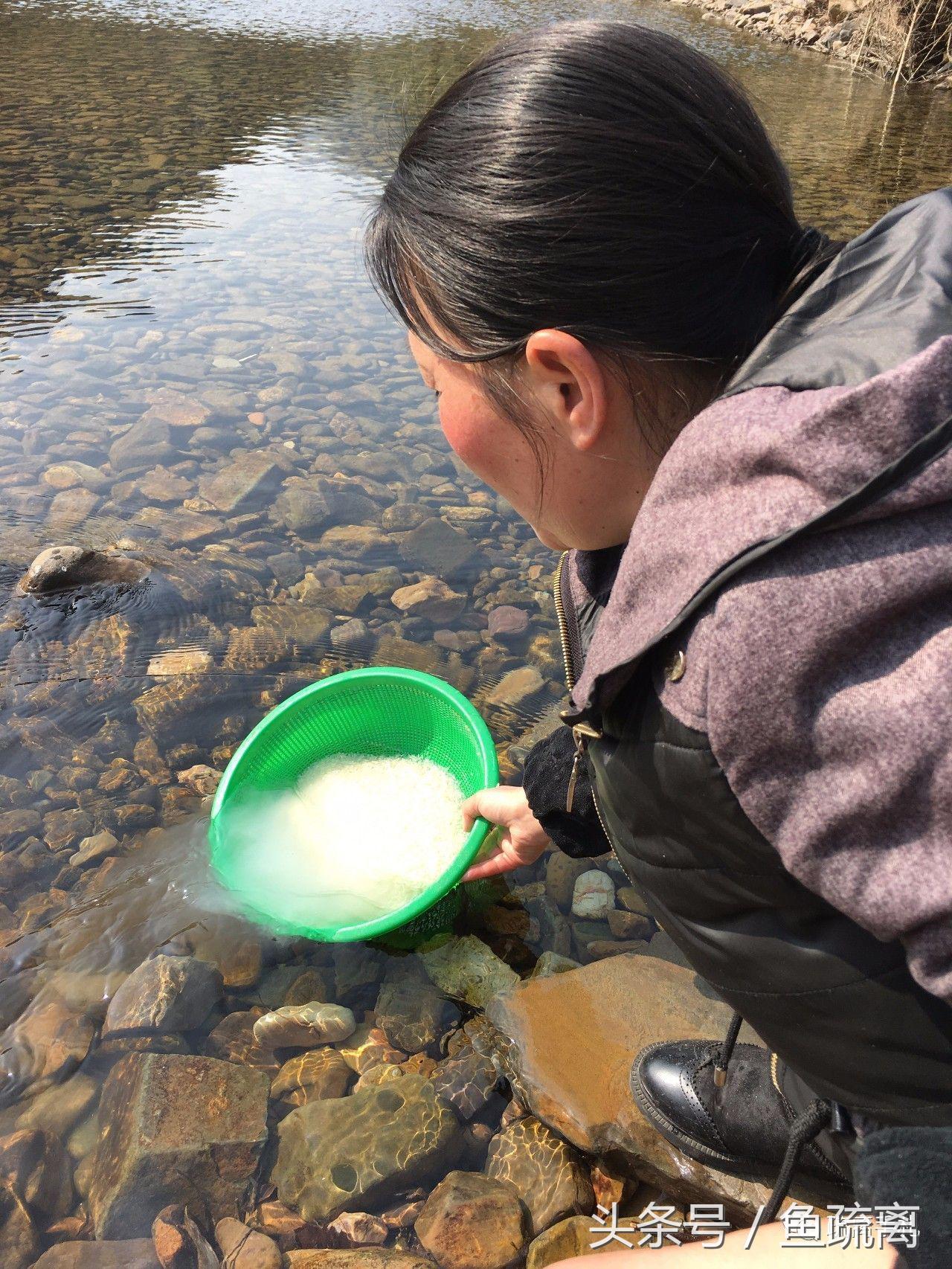 神雕山野生动物园旅游攻略_凤县紫柏山旅游攻略_天目山农家乐旅游攻略