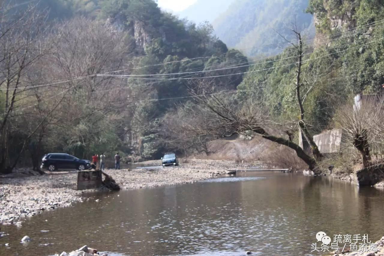 神雕山野生动物园旅游攻略_凤县紫柏山旅游攻略_天目山农家乐旅游攻略