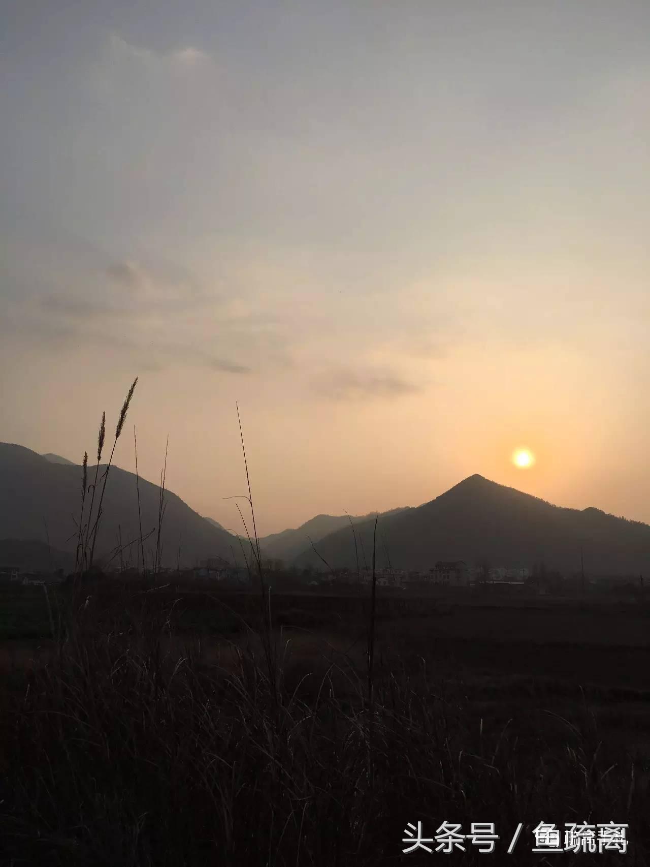 天目山农家乐旅游攻略_神雕山野生动物园旅游攻略_凤县紫柏山旅游攻略