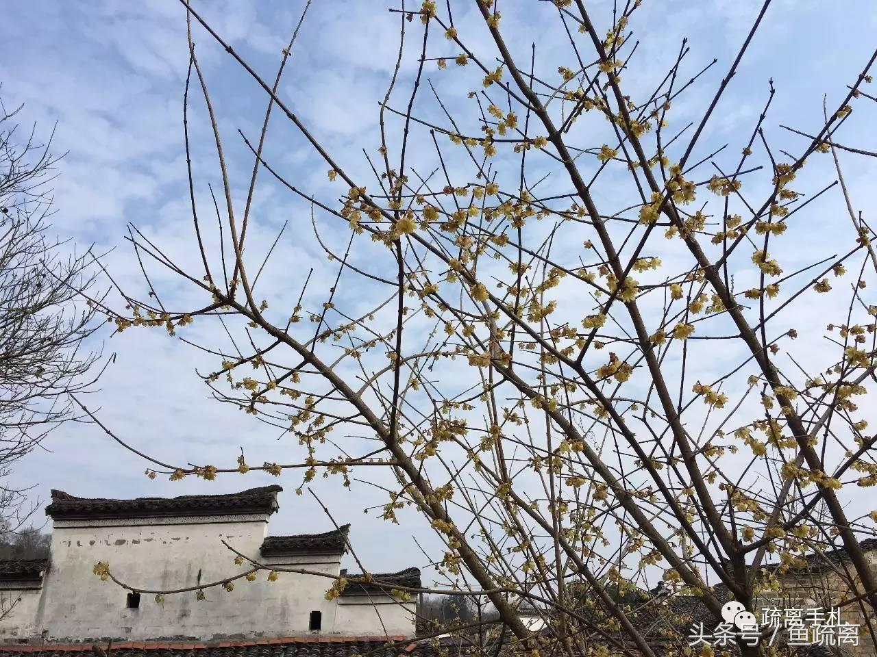 天目山农家乐旅游攻略_神雕山野生动物园旅游攻略_凤县紫柏山旅游攻略