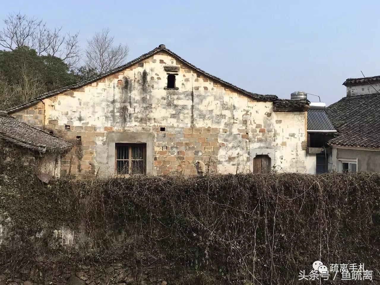 神雕山野生动物园旅游攻略_天目山农家乐旅游攻略_凤县紫柏山旅游攻略