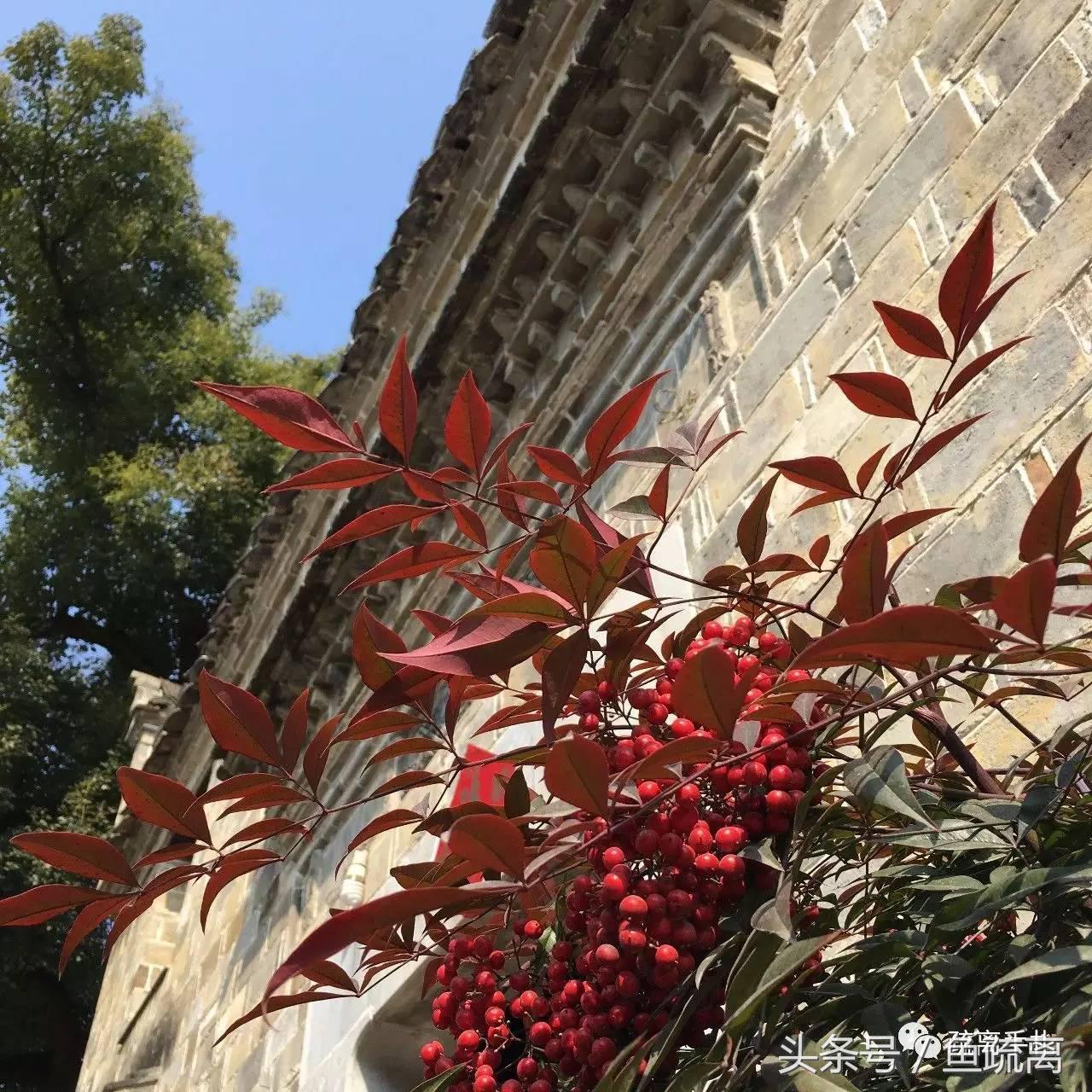 天目山农家乐旅游攻略_神雕山野生动物园旅游攻略_凤县紫柏山旅游攻略