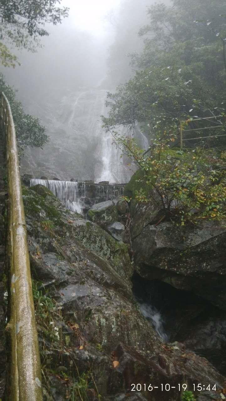 天门山+天门狐山旅游攻略_天目山农家乐旅游攻略_辰山植物园旅游攻略