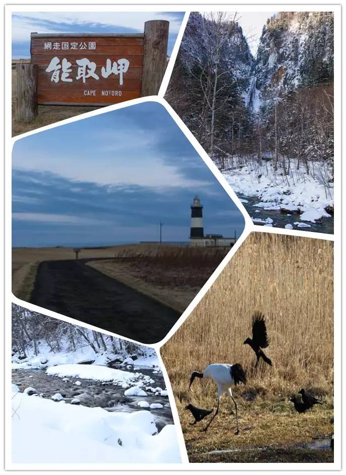 冬天的北海道好玩吗_冬天的北海道旅游攻略_冬天北海道旅游攻略