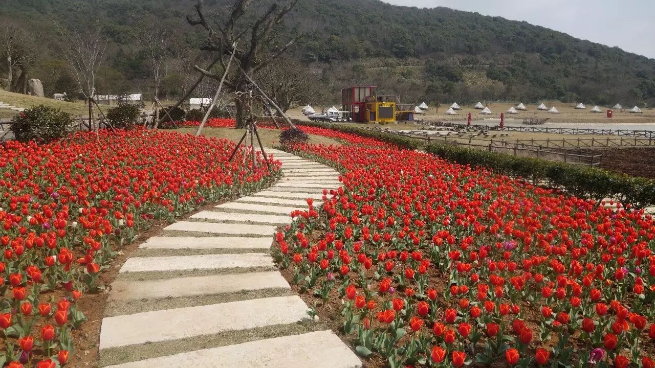 宁波到朱家尖旅游攻略_宁波到朱家尖一日游_朱家尖有去宁波的班车吗