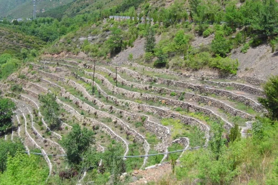 北京昌平仙人洞旅游攻略_仙人洞昌平_昌平仙人洞自然风景旅游区在哪