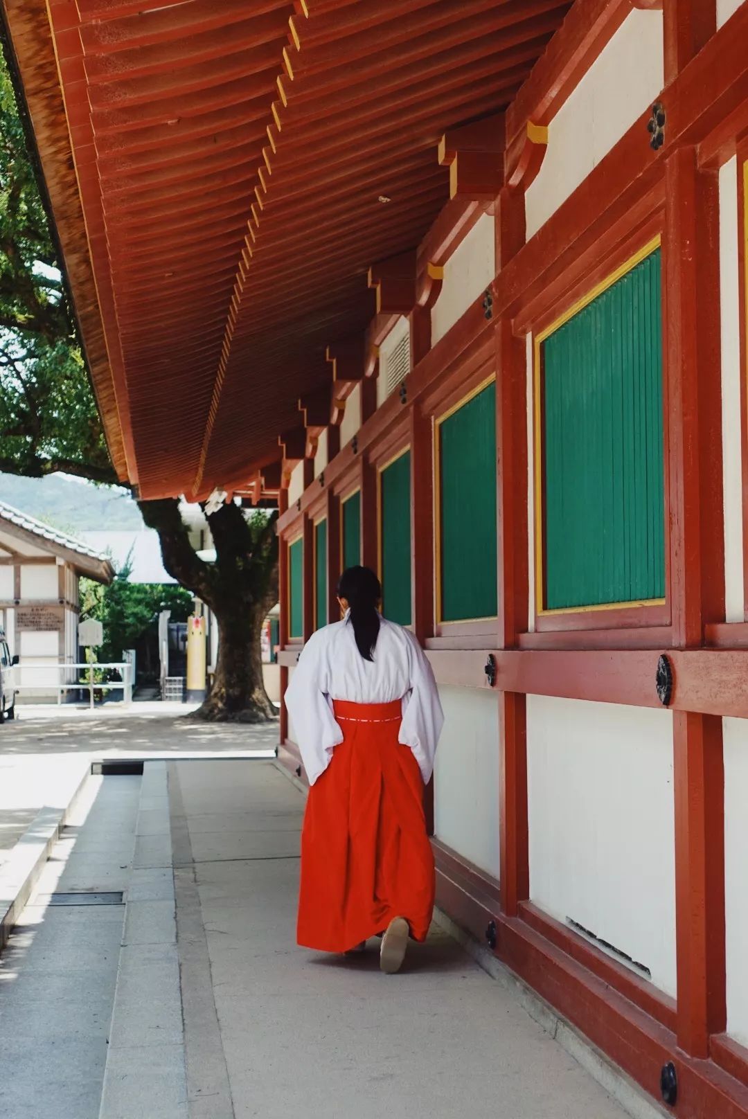 熊本熊的旅行入口_熊本游玩攻略_熊本旅游