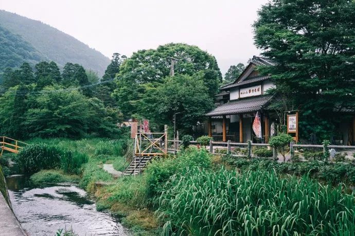 熊本旅游_熊本游玩攻略_熊本熊的旅行入口