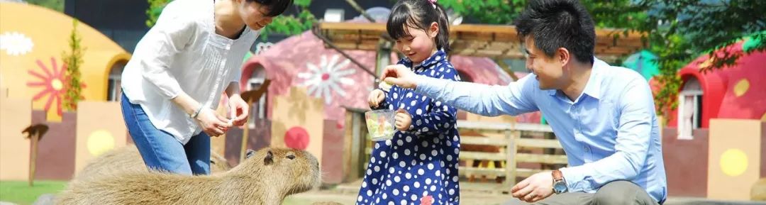 熊本熊的旅行入口_熊本游玩攻略_熊本旅游