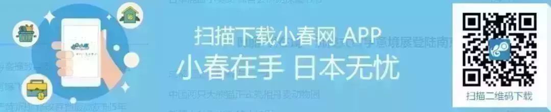 熊本熊的旅行入口_熊本游玩攻略_熊本旅游