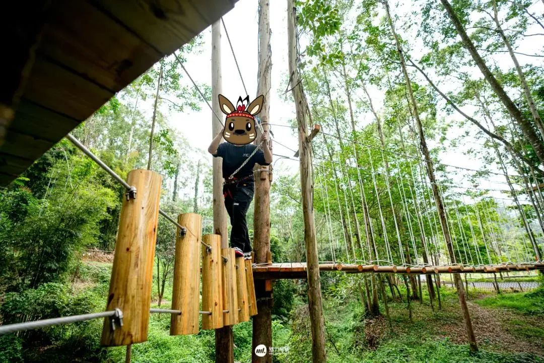 增城旅游景点白水寨_攻略增城旅游水寨白天能玩吗_增城白水寨2天旅游攻略