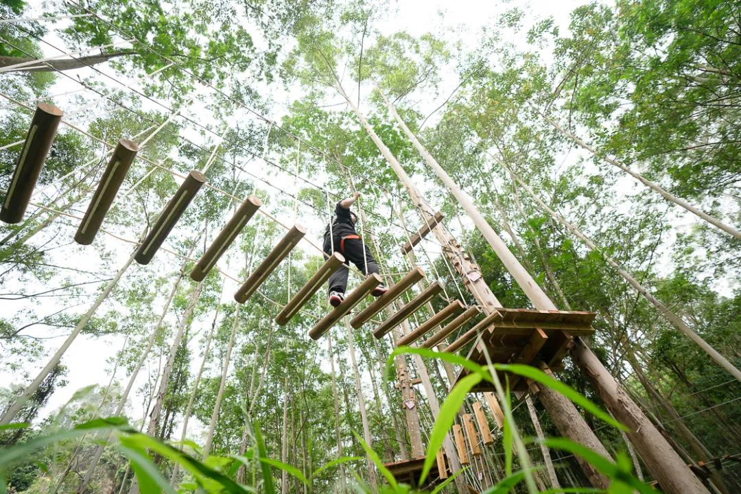 增城旅游景点白水寨_攻略增城旅游水寨白天能玩吗_增城白水寨2天旅游攻略