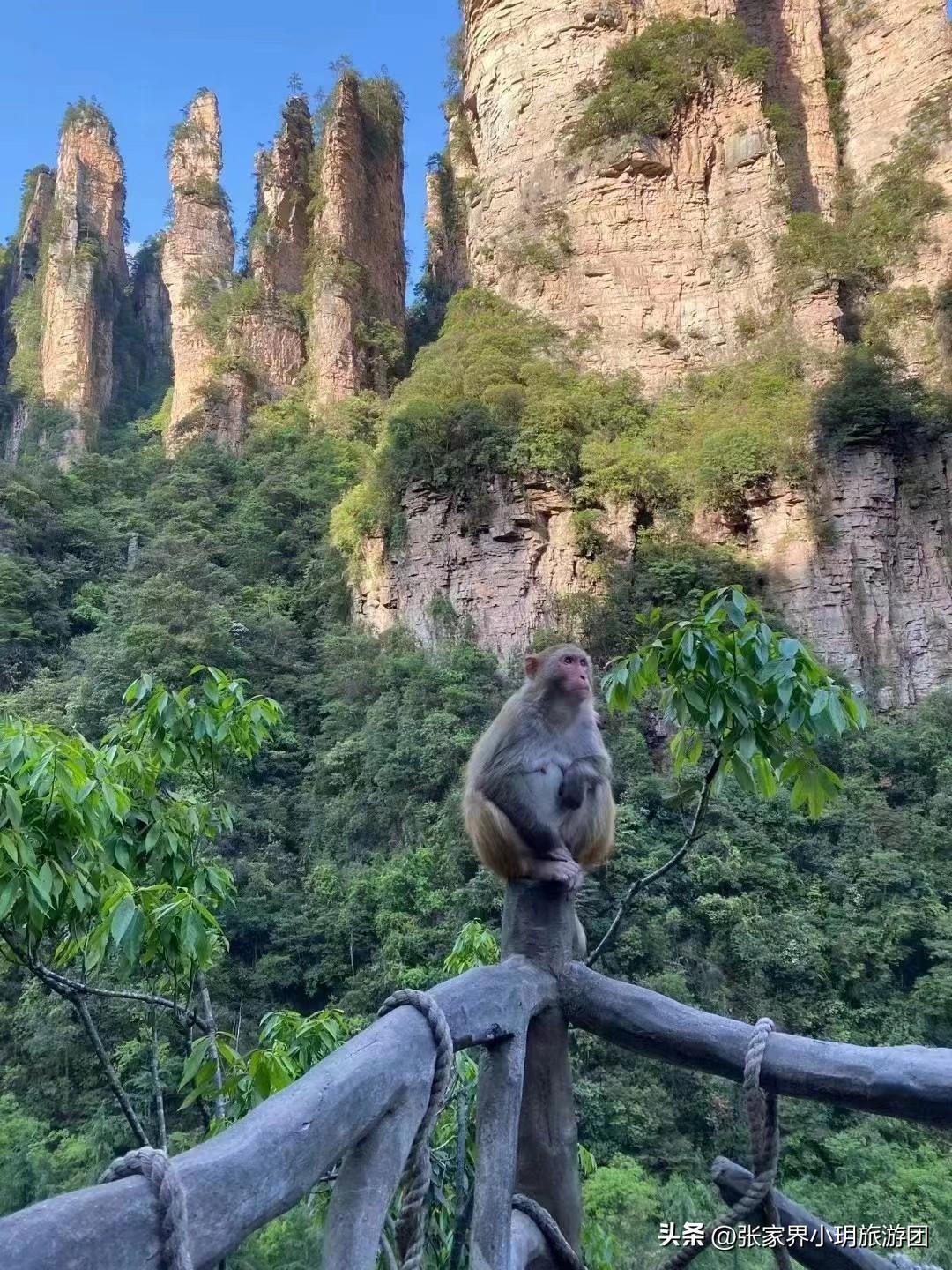 湘西凤凰旅游攻略_湘西凤凰旅游攻略_湘西凤凰旅游攻略自由行