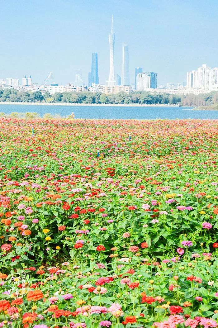 好玩景点广州市有几个_好玩景点广州市有哪些地方_广州市有什么好玩的景点