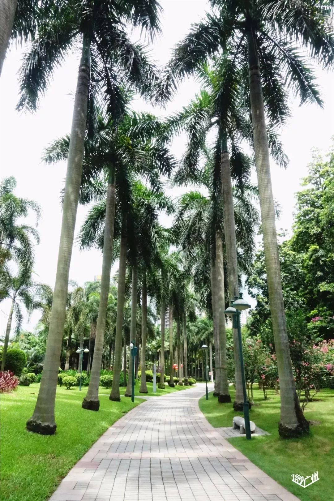 好玩景点广州市有几个_好玩景点广州市有哪些地方_广州市有什么好玩的景点