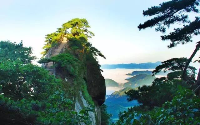 浙江西天目山旅游攻略_天目大峡谷旅游攻略_浙江天目西西山古树农家乐