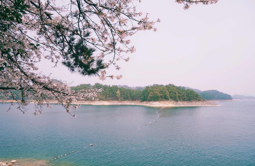 浙江西天目山旅游攻略_天目大峡谷旅游攻略_浙江天目西西山古树农家乐