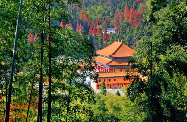 浙江天目西西山古树农家乐_天目大峡谷旅游攻略_浙江西天目山旅游攻略