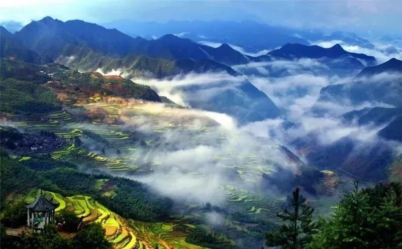 浙江西天目山旅游攻略_天目大峡谷旅游攻略_浙江天目西西山古树农家乐