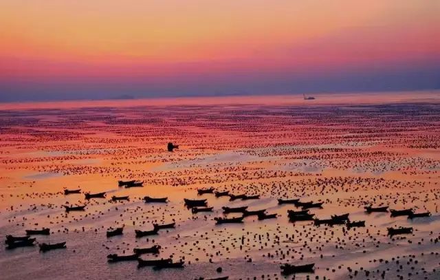 浙江天目西西山古树农家乐_浙江西天目山旅游攻略_天目大峡谷旅游攻略