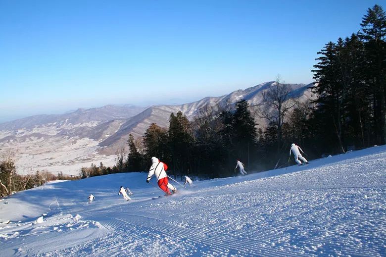 浙江天目西西山古树农家乐_浙江西天目山旅游攻略_天目大峡谷旅游攻略