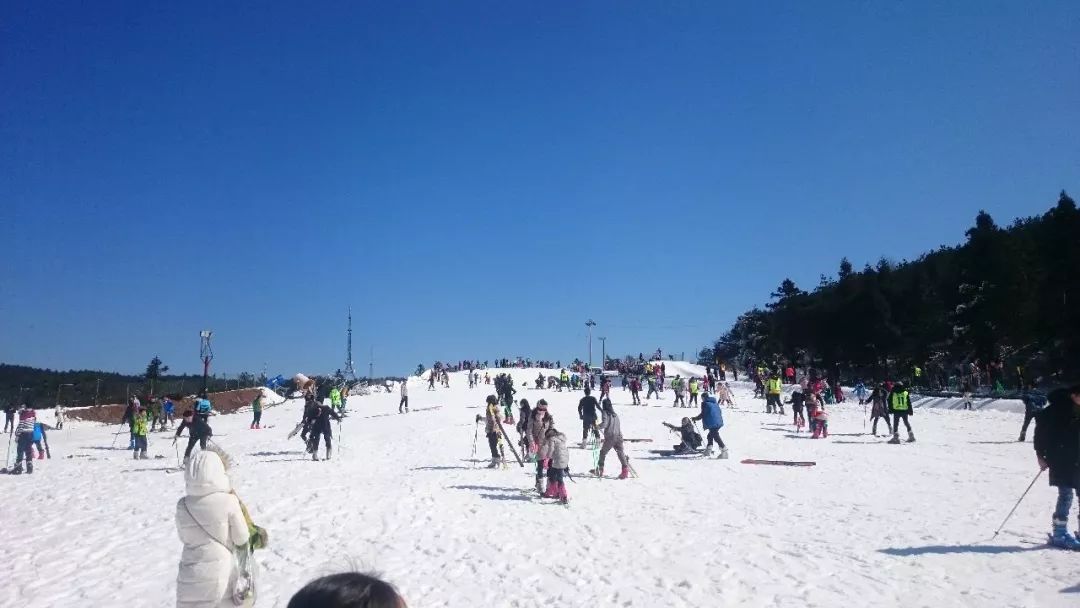 天目大峡谷旅游攻略_浙江西天目山旅游攻略_浙江天目西西山古树农家乐