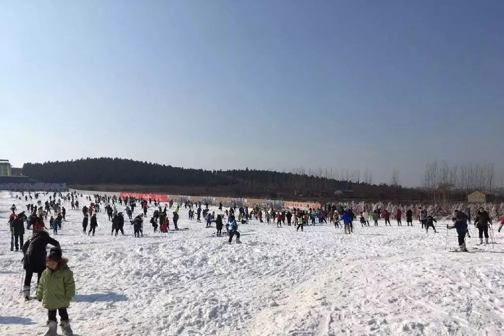 浙江天目西西山古树农家乐_浙江西天目山旅游攻略_天目大峡谷旅游攻略