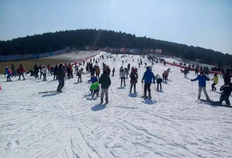 浙江天目西西山古树农家乐_浙江西天目山旅游攻略_天目大峡谷旅游攻略