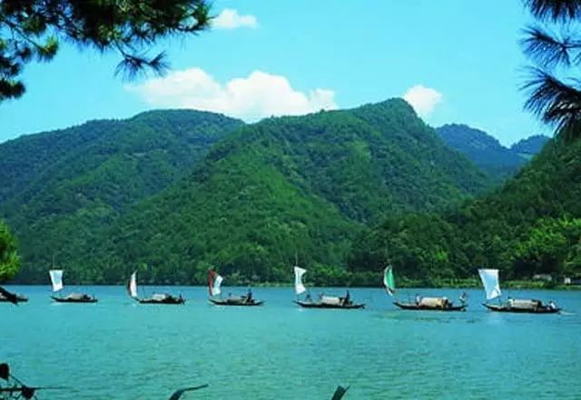 天目大峡谷旅游攻略_浙江天目西西山古树农家乐_浙江西天目山旅游攻略