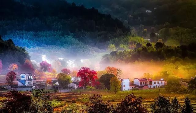 天目大峡谷旅游攻略_浙江天目西西山古树农家乐_浙江西天目山旅游攻略