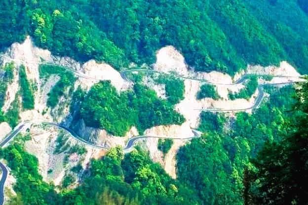 浙江天目西西山古树农家乐_浙江西天目山旅游攻略_天目大峡谷旅游攻略