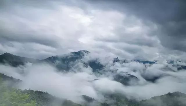 天目大峡谷旅游攻略_浙江西天目山旅游攻略_浙江天目西西山古树农家乐