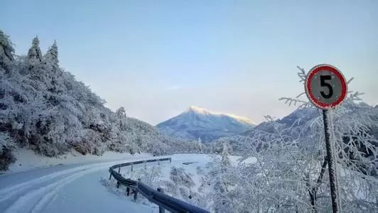 浙江天目西西山古树农家乐_浙江西天目山旅游攻略_天目大峡谷旅游攻略