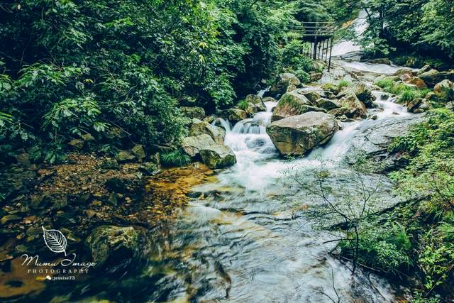 天目大峡谷旅游攻略_浙江天目西西山古树农家乐_浙江西天目山旅游攻略